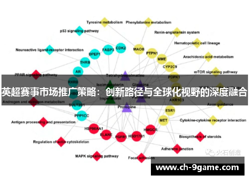 英超赛事市场推广策略：创新路径与全球化视野的深度融合