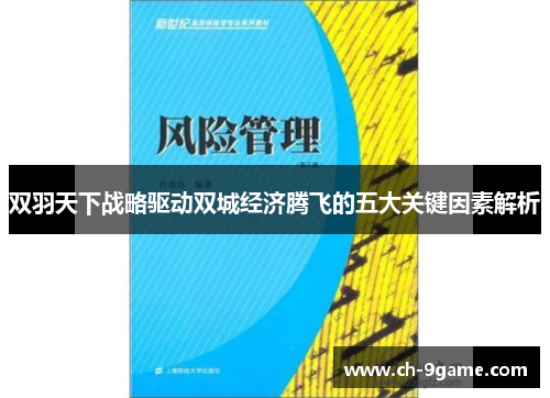 双羽天下战略驱动双城经济腾飞的五大关键因素解析