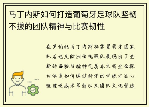 马丁内斯如何打造葡萄牙足球队坚韧不拔的团队精神与比赛韧性